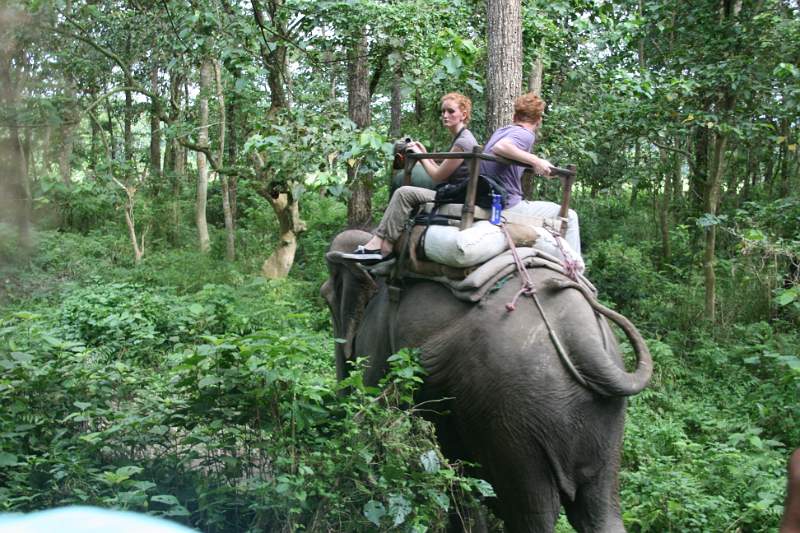 India & Nepal 2011 - 0549